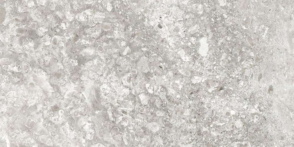 Lunar Grey Light / Лунар Светло-серый LR 120x60 Idalgo (Идальго)
