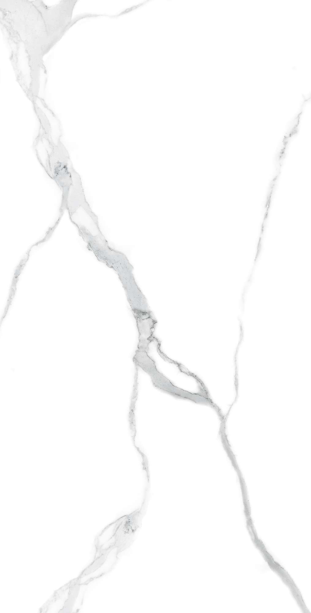 FP1021-A Nuvo Statuario Full Polished 60x120 Arcadia Ceramica