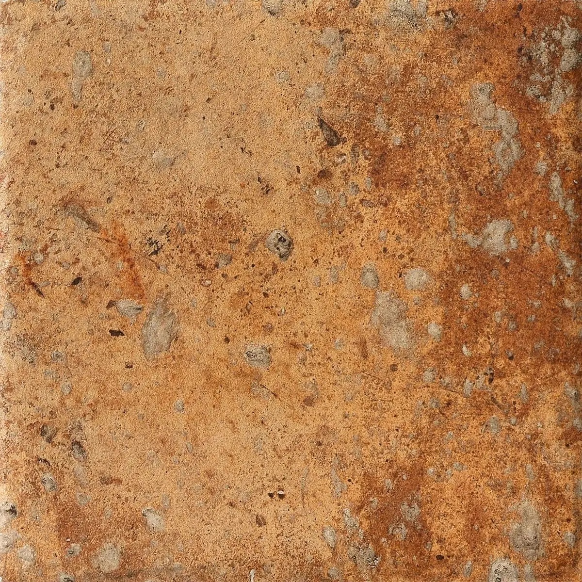 1080489 Cotto Del Campiano Cotto Dorato 40x40 CIR