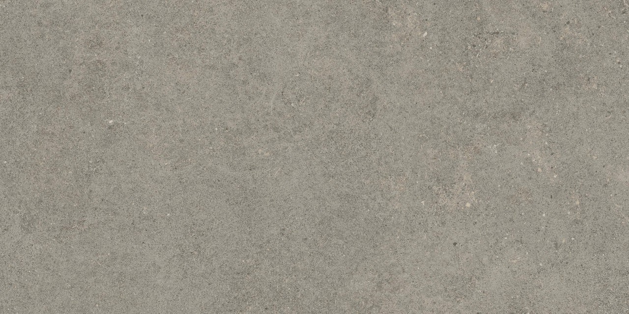 610010005821 Forte dei Marmi Rock Lunar Grey Matt Rett 60x120 Atlas Concorde Russia