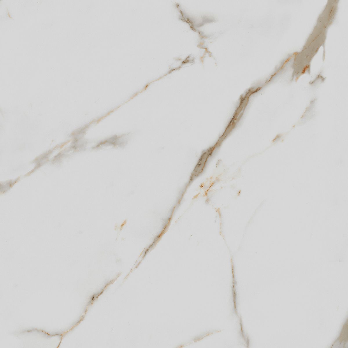 R_PR1003 Calacatta Gold Polished 60x60 Royce