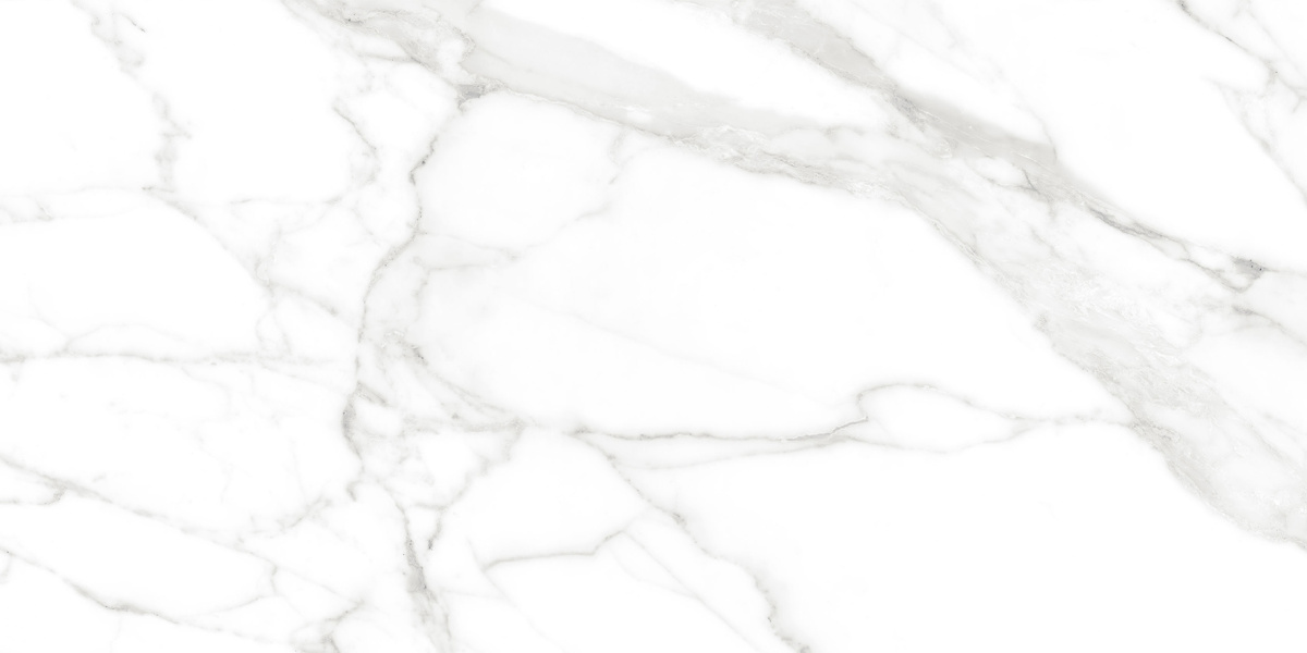 Calacatta Bianco PRO белый матовый R10GR CB 60х120 Laparet