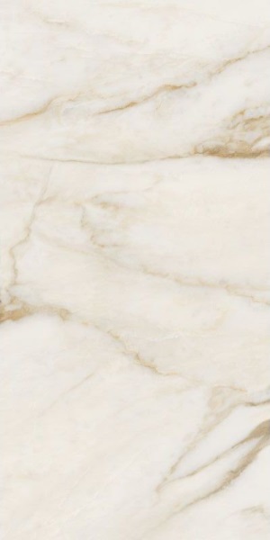 67582 Calac Br Luxr 60x120 Versace (Gardenia Orchidea)