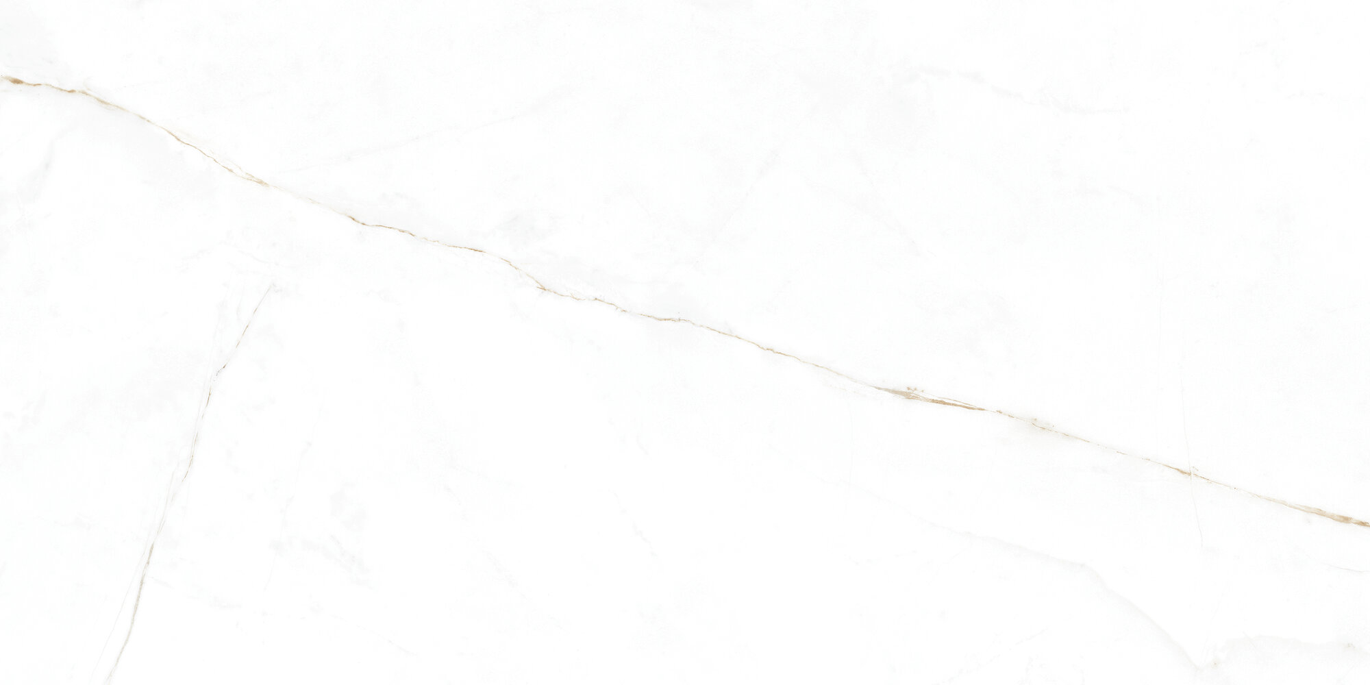 31741 Dual White EP 60x120 Peronda фото 18