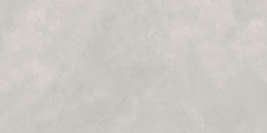 N20478 Newport Gris Matt 60x120 Neodom