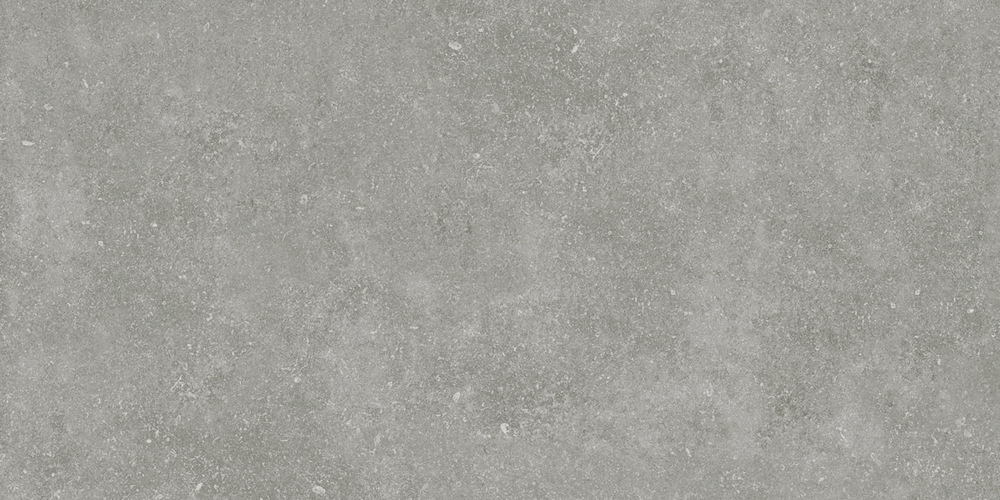 Granite Gloria Gray / Граните Глория Серый SR 120x60 Idalgo (Идальго)