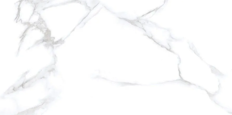 N20531 Statuario Chic Polished 60x120 Neodom