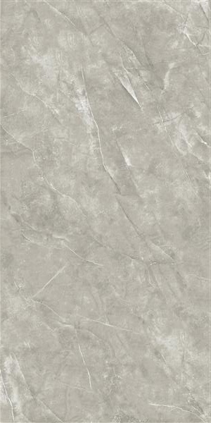 2666 Nismo Grey polish 60x120 Sina Tile
