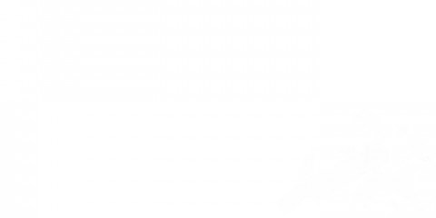 1204 SUPER WHITE 60x120 Pardis Ceramic Pazh