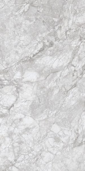 230167 Polar Grey Polished 60x120 Concor