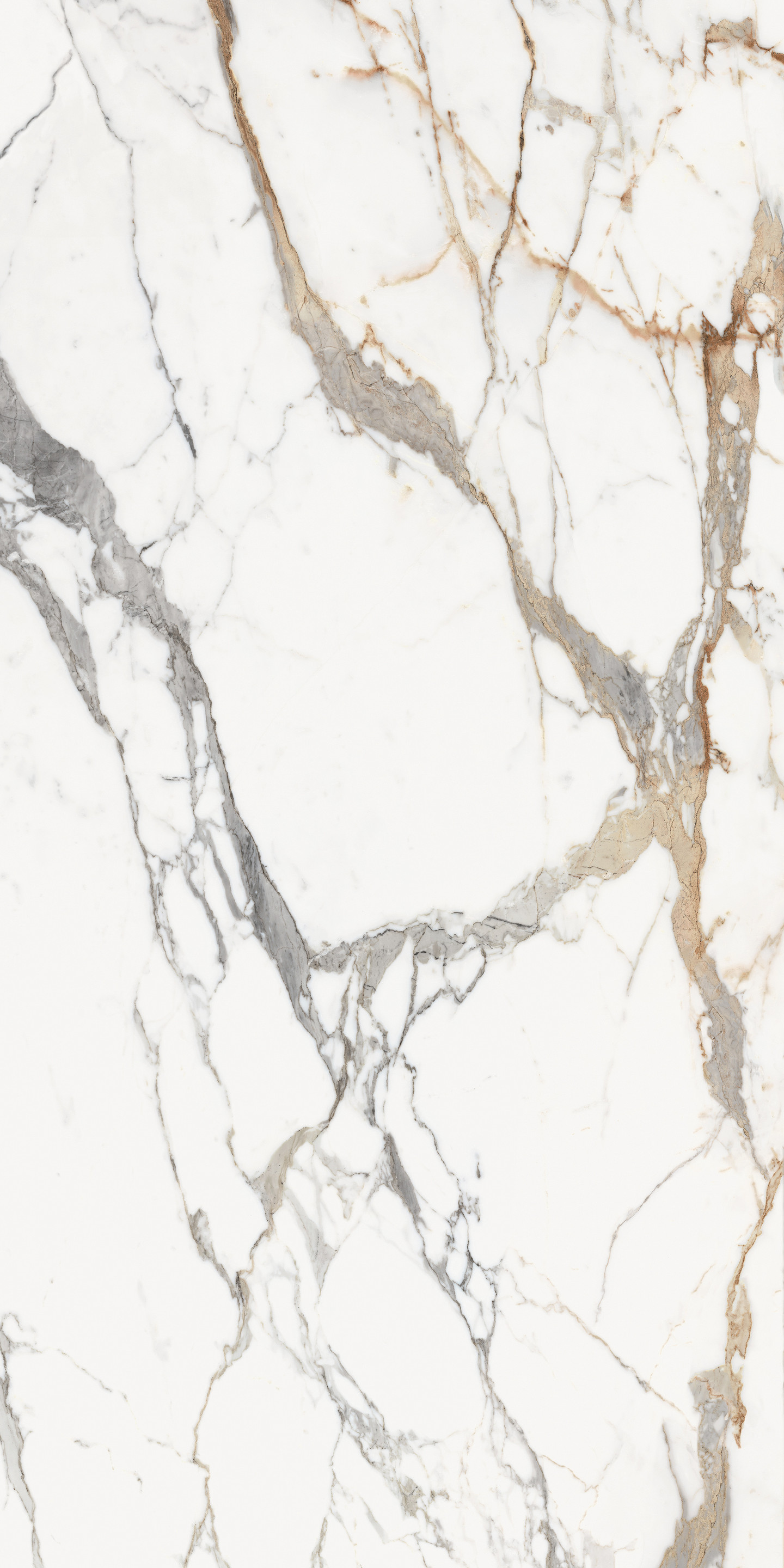 769970 Les Origines Or Glossy R 6mm 120x240 Rex Ceramiche