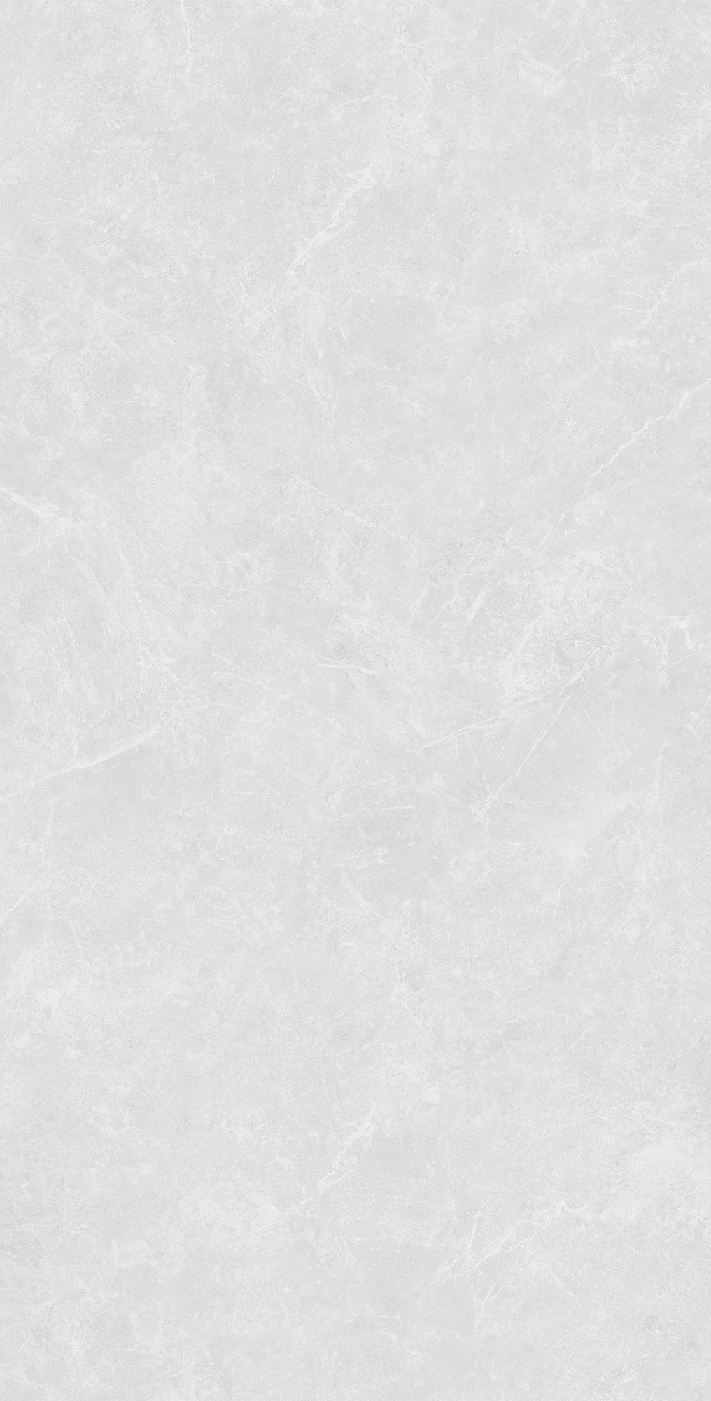 SL1003-A Oviedo Silver Solido 60x120 Creanza