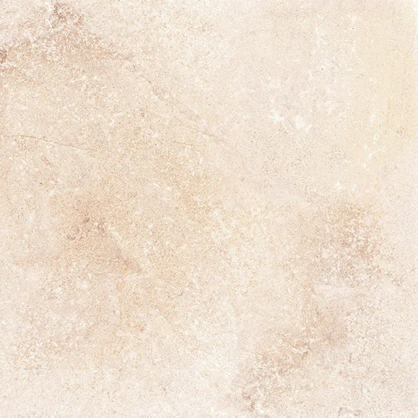 G302PR Shunut Beige 60x60 Гранитея фото 2