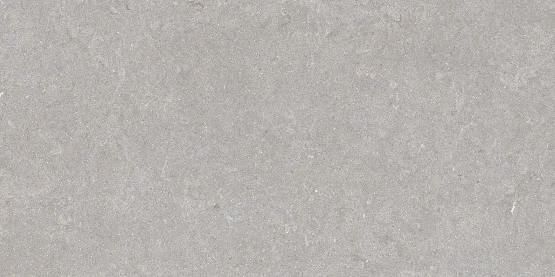 35568 Ghent Grey/50X100X2/A/R 50x100 Peronda фото 17