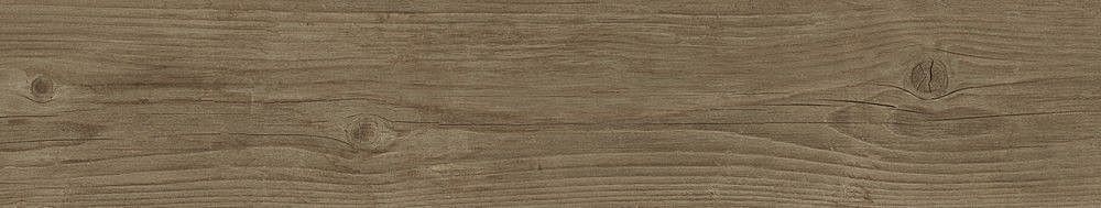 189007 Quercus Noce 22x120 Dune
