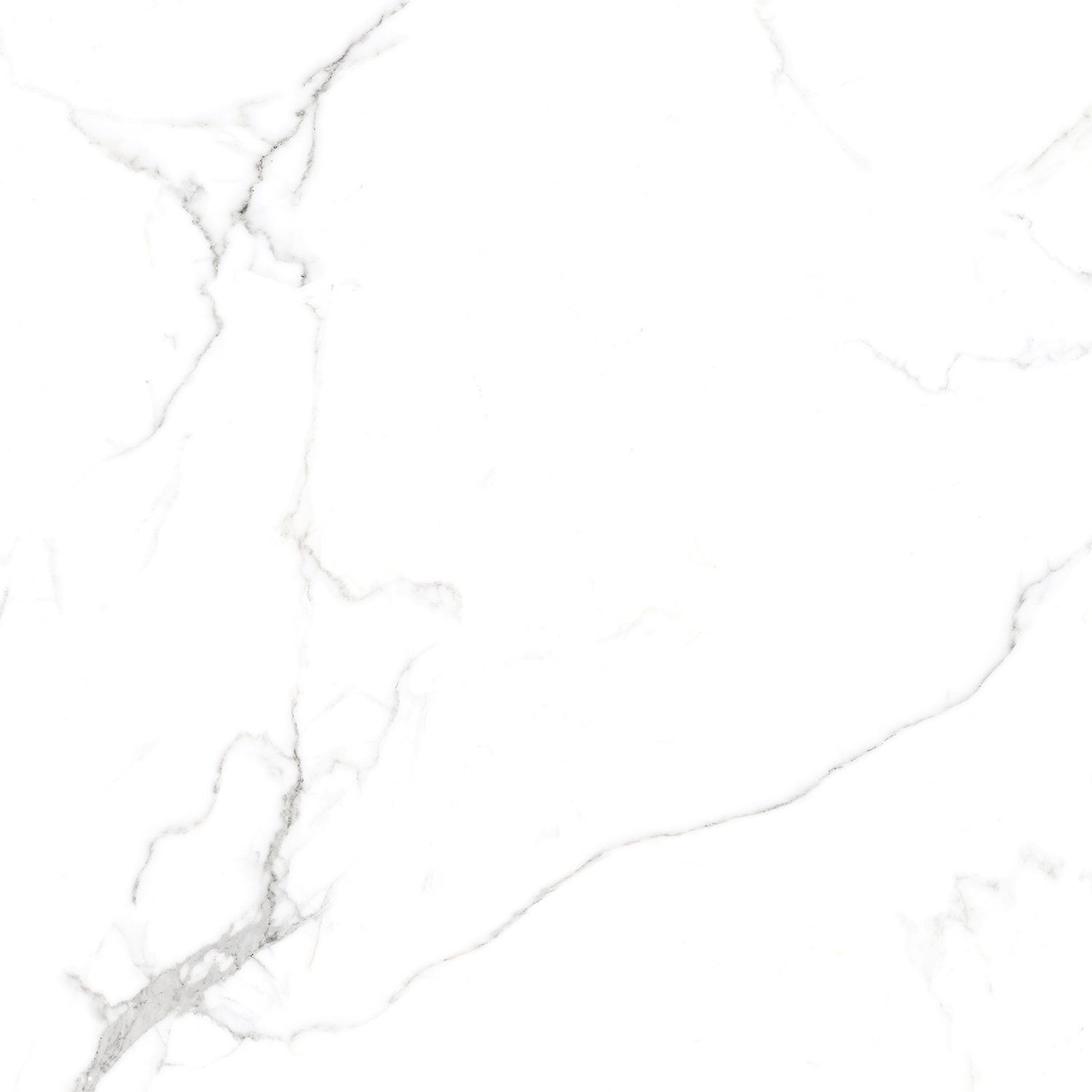 Сlassic Statuario PGVT 60x60 Casati Ceramica