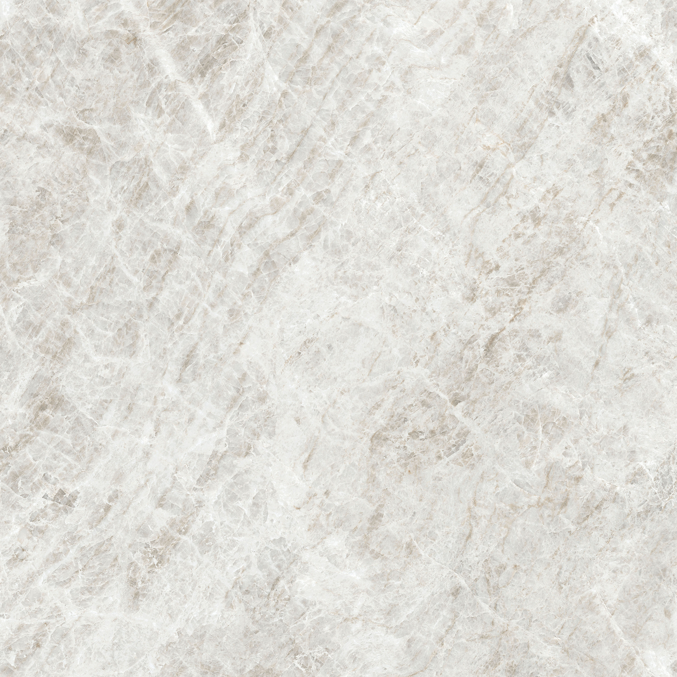 784545 Iconic Life Rice Yamuna Glossy 80x80 Cerim фото 11