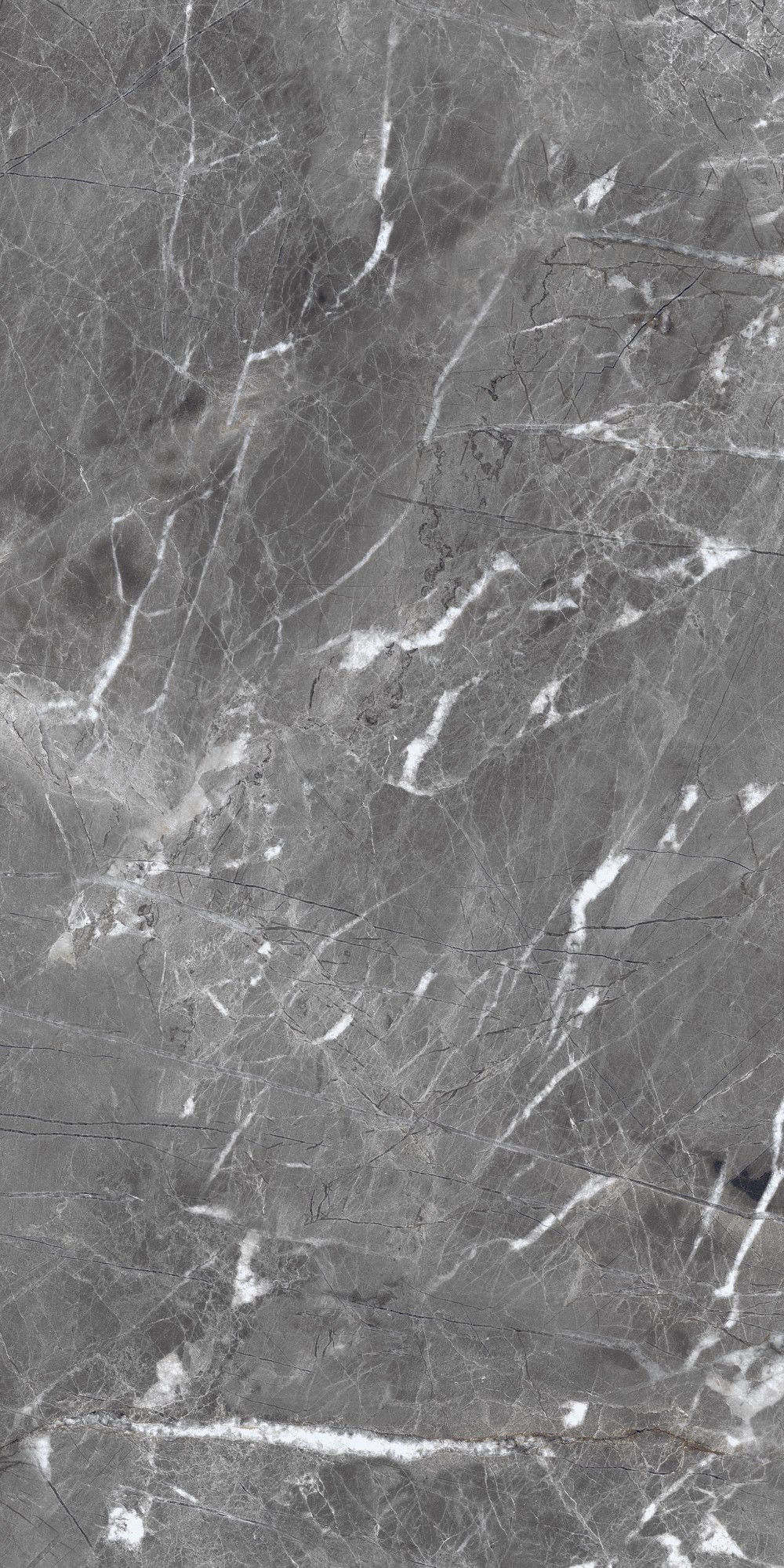 Shadow Dark Grey Polished 60x120 Realistik