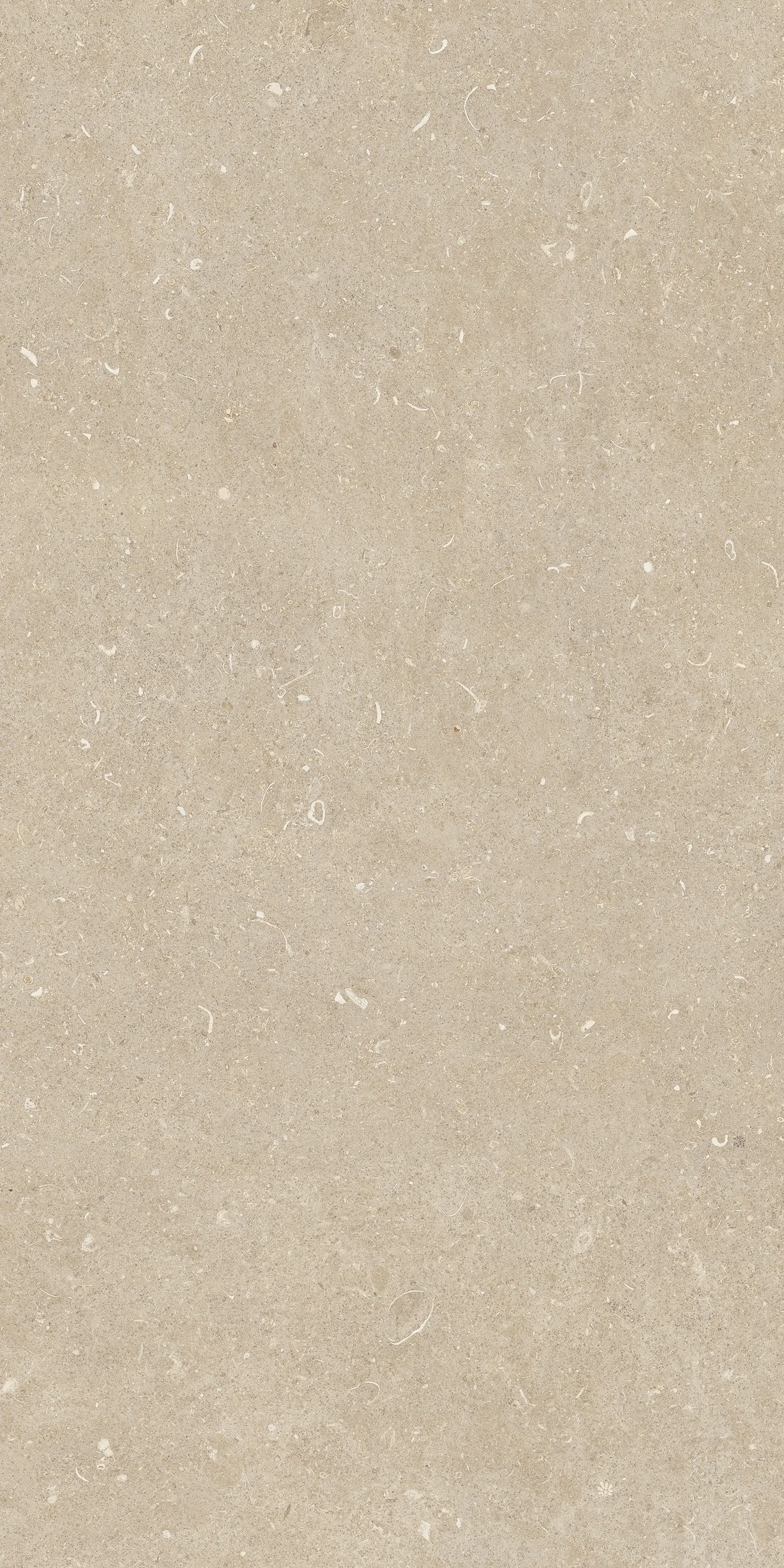 785493 Rinascenza Arena Conchiglia Grip 60x120 Casa Dolce Casa