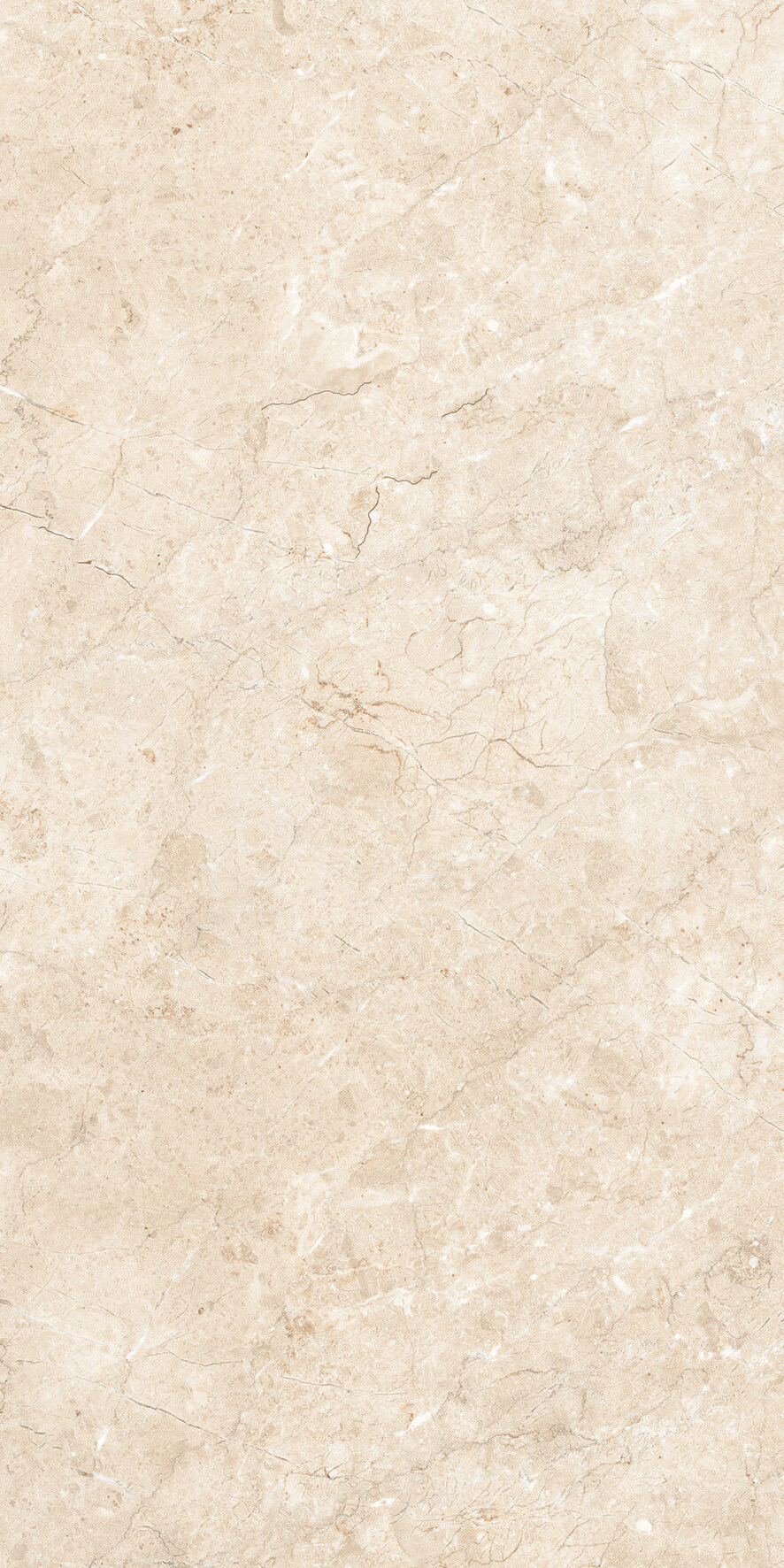 1216 Palermo Beige Matt Glr 9 mm 120x60 Artcer фото 2