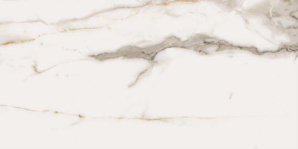 610015000236 Charme Evo Calacatta 30x60 Italon