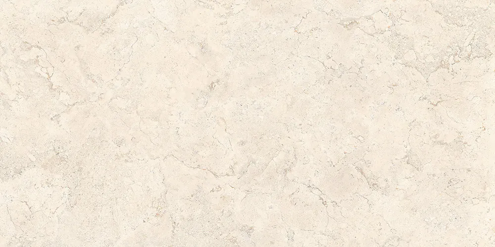 K958161R0001VTER СпаСтоун Кампосперо Мат R10A 60x120 Vitra фото 6