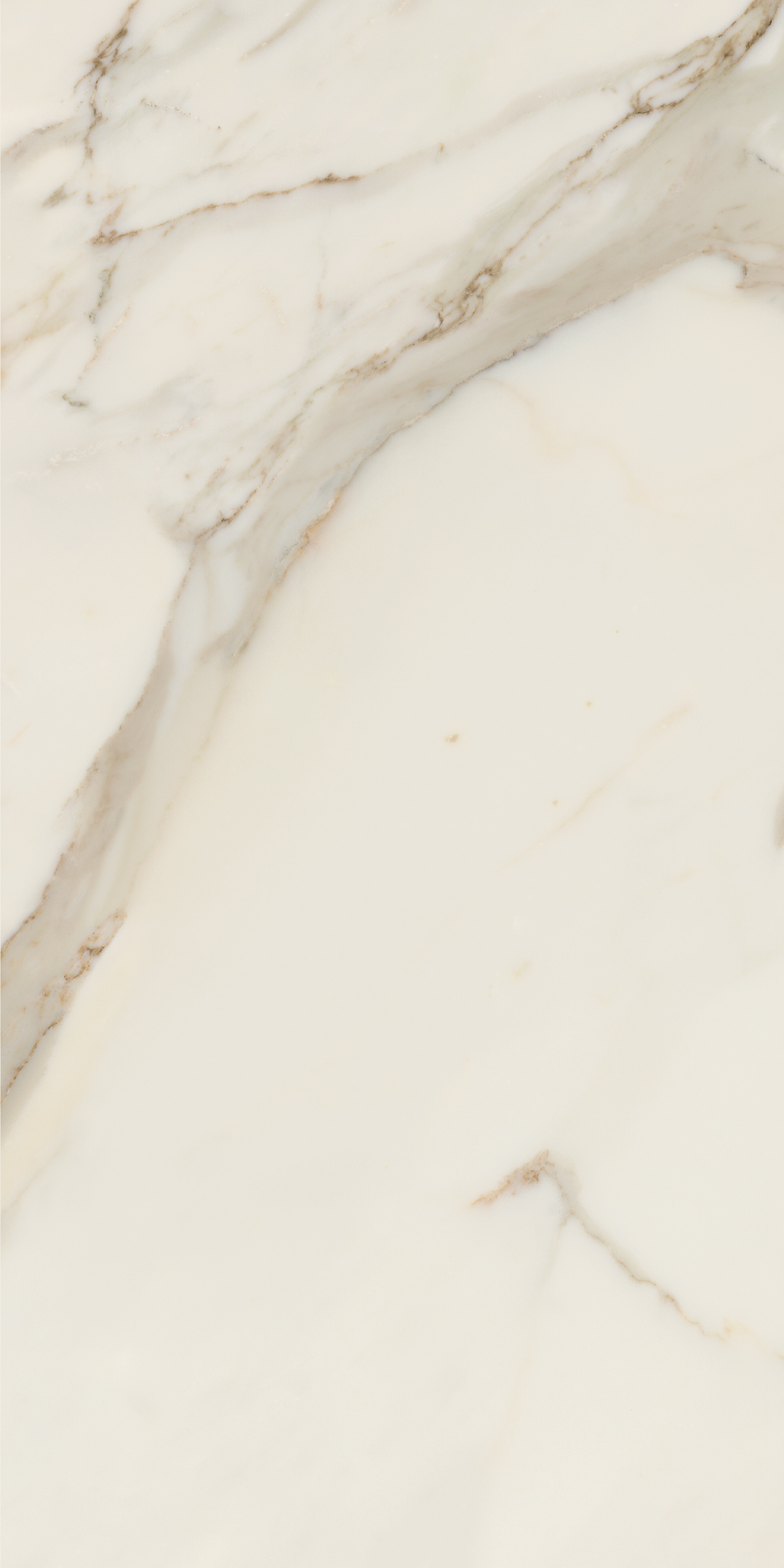 AIAT Golden White Matt RT 60x120 Caesar