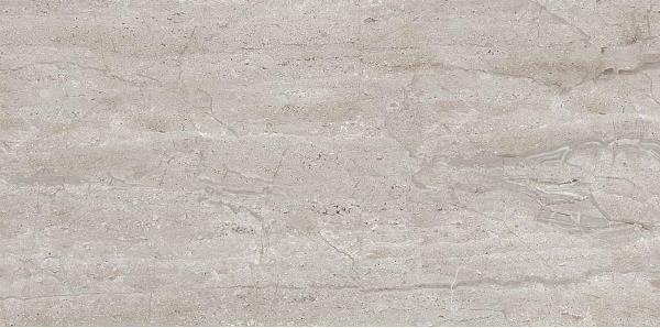 Dianox Grey Glossy 60x120 Art & Natura