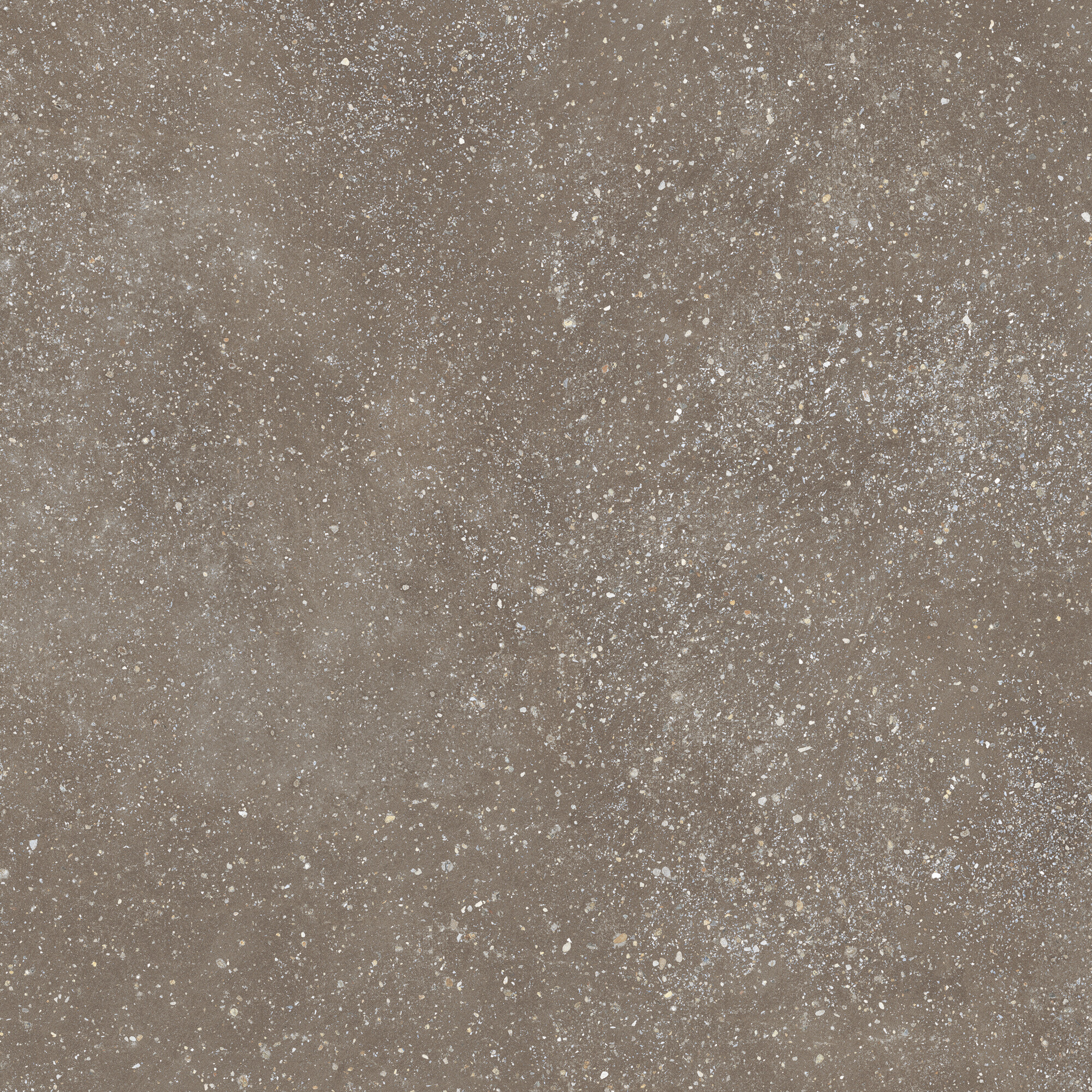 42811 Cosmos Chocolate SP/90X90X0,9/C/R 90x90 Harmony