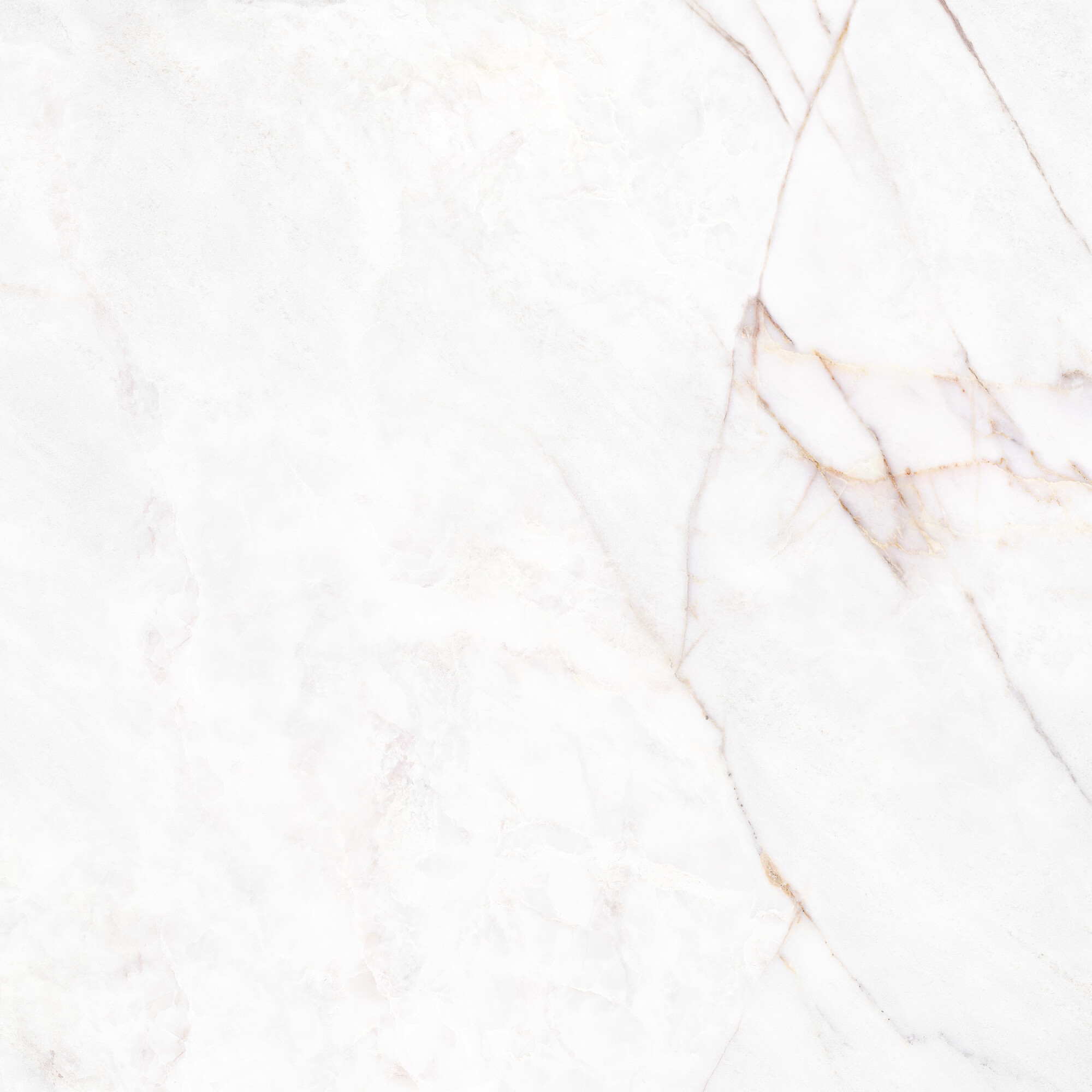 41431 Dahlia White SP/100X100X0,8/R 100x100 Peronda фото 6