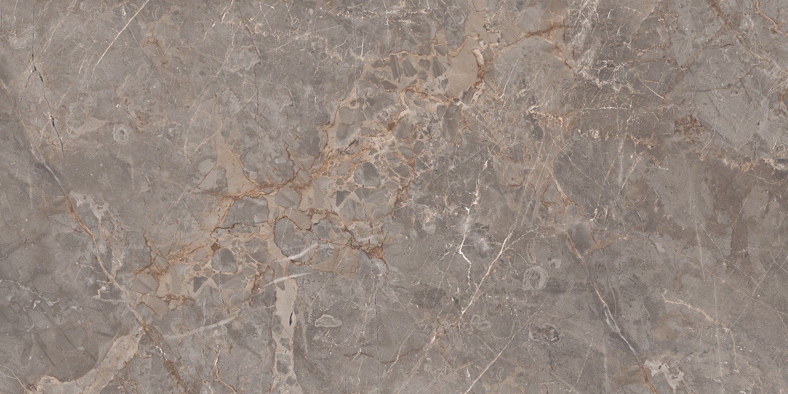 Miltonia Grey 60x120 Realistik