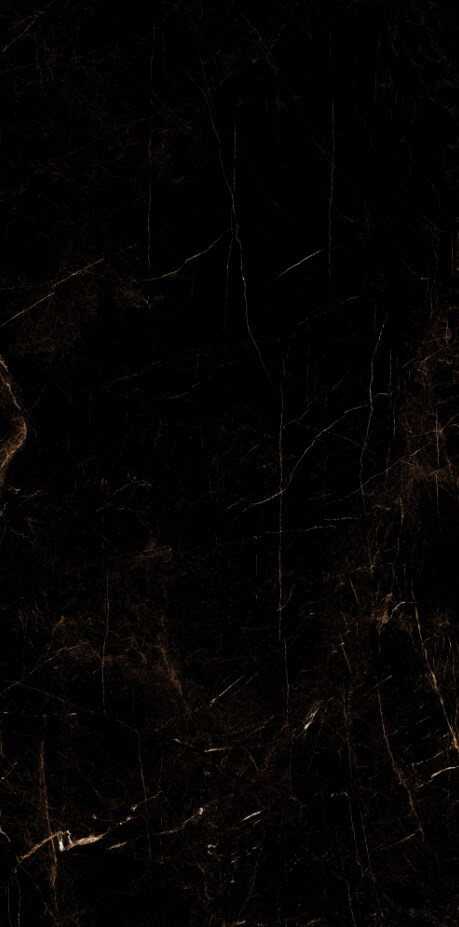 Marble Tropic Black 120x60 Artcer