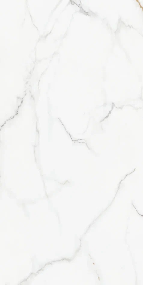 Kingston Silky Matt 60x120 Realistik фото 2