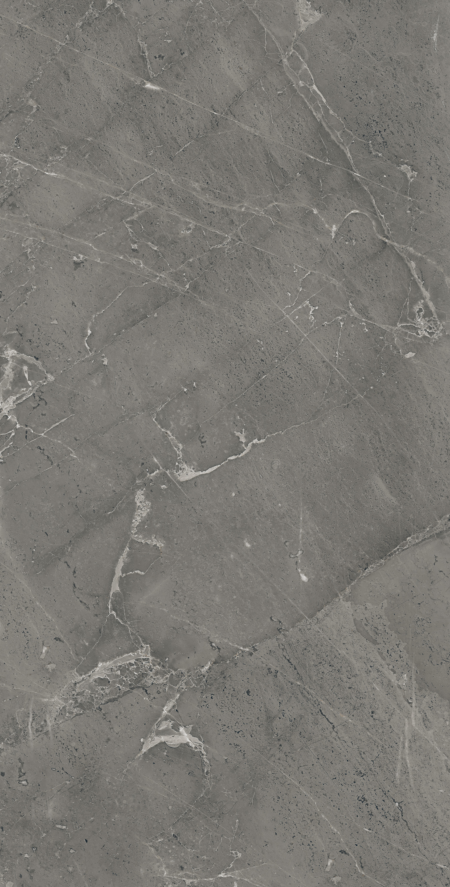 SI1002-A Anthor Grey Sugar Ink 60x120 Creanza фото 2