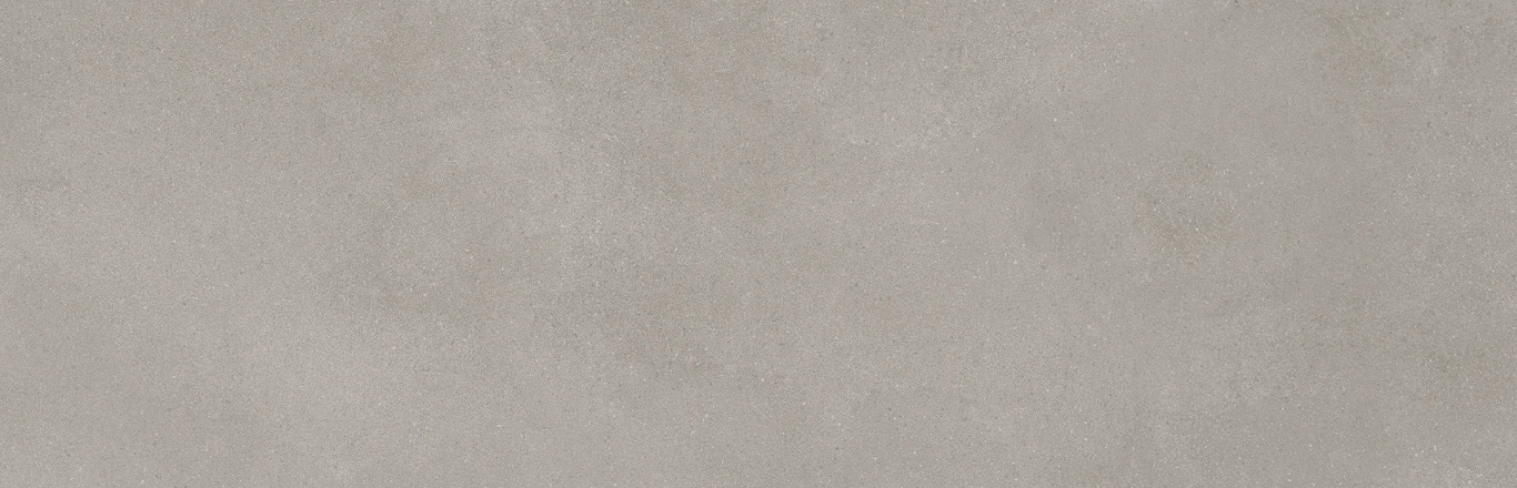 Mediterranea Gris R 31,5x100 Undefasa