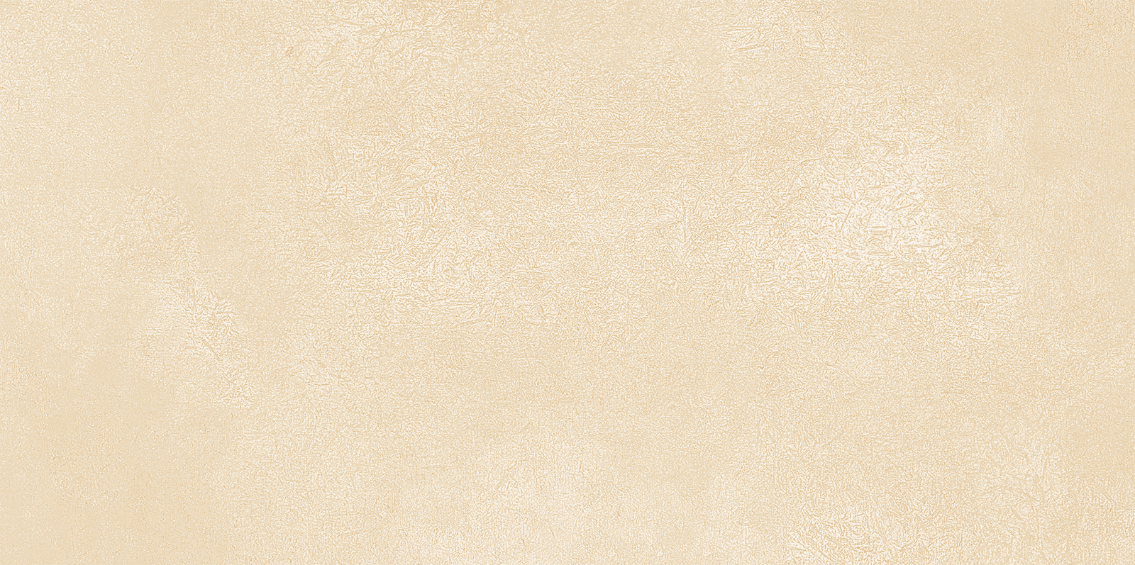 WT9PET11 Petra Beige 24.9х50 AltaCera