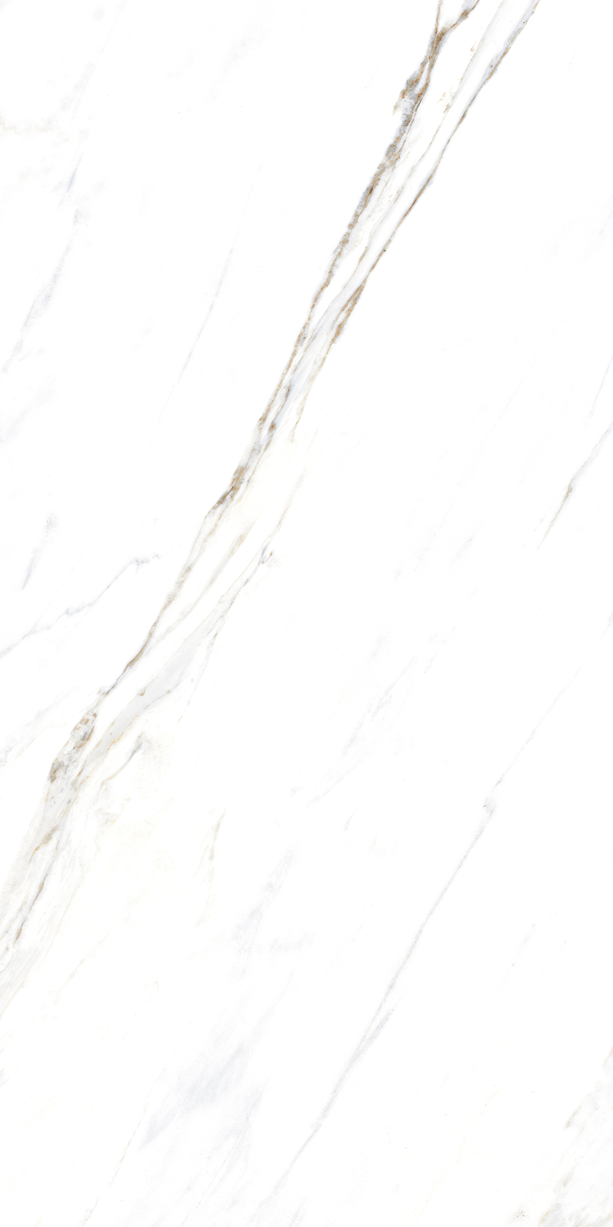 885 Calacatta Caldia 120x60 Artcer