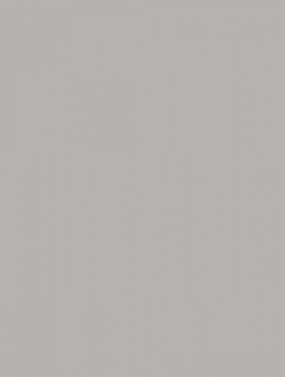 WAAKB010 CONCEPT Plus Grey 25x33 RAKO