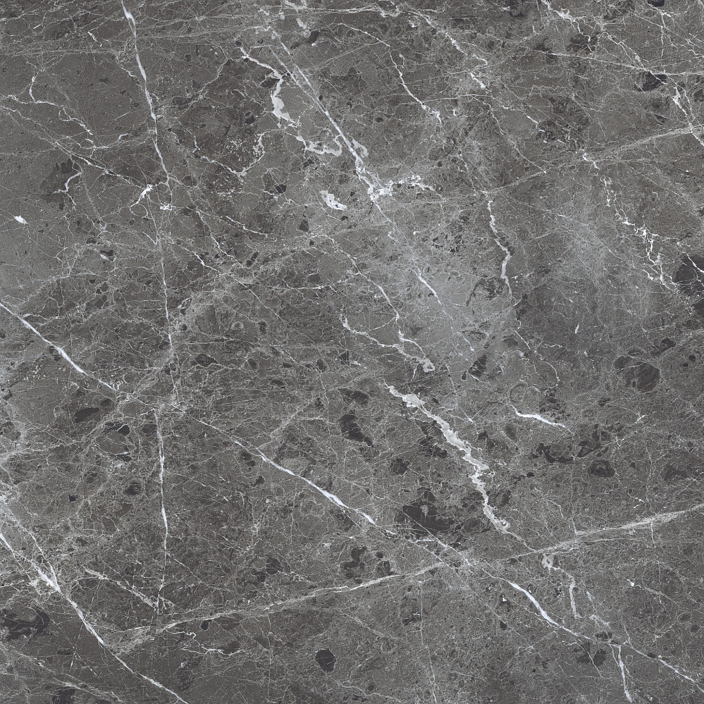 PR108 Ardesia Grafito Polished 600x600 PrimaVera