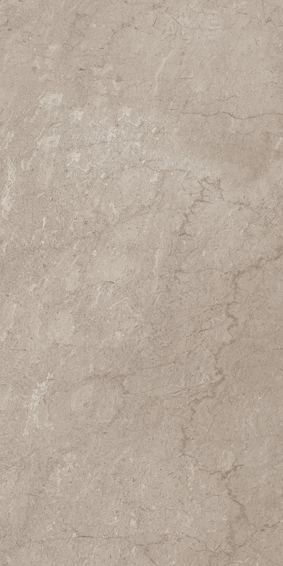 AEM02 Элемента Серый Неполированный Рект 60x120x9 Ametis by Estima фото 11