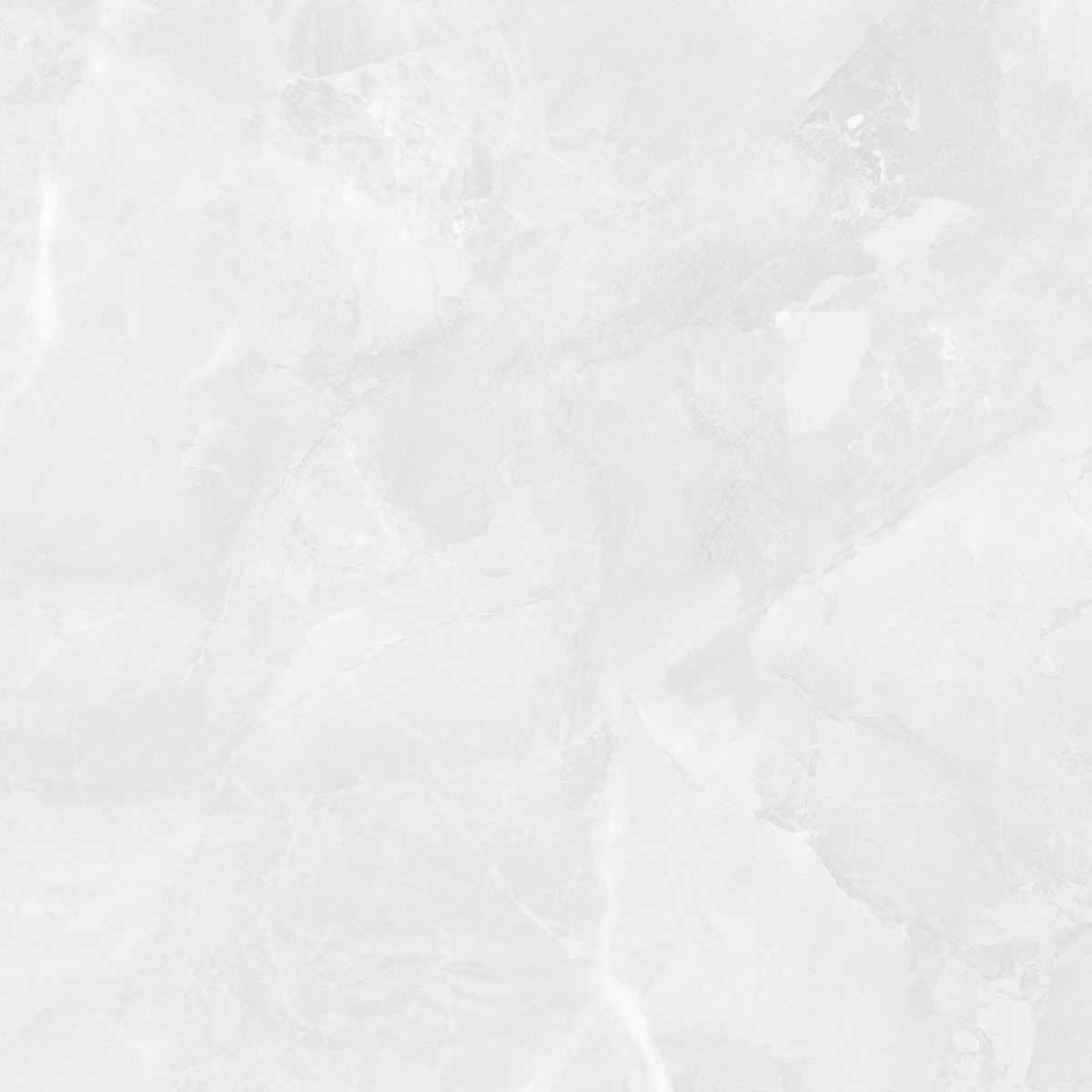 CR6060G0391R Regnum Bianco светло-серый матовый 59,5х59,5 Ceradim фото 10