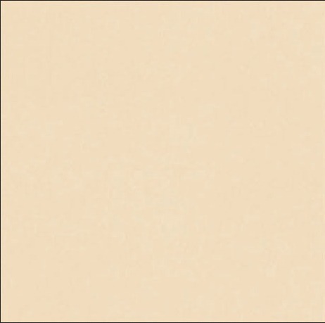 Blanco Perla 40*40 Venatto