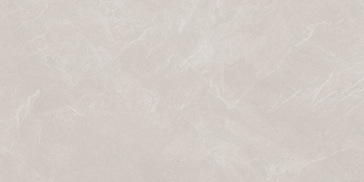 Archie Bianco Pro светло-серый матовый R10GR STR 60х120 Laparet