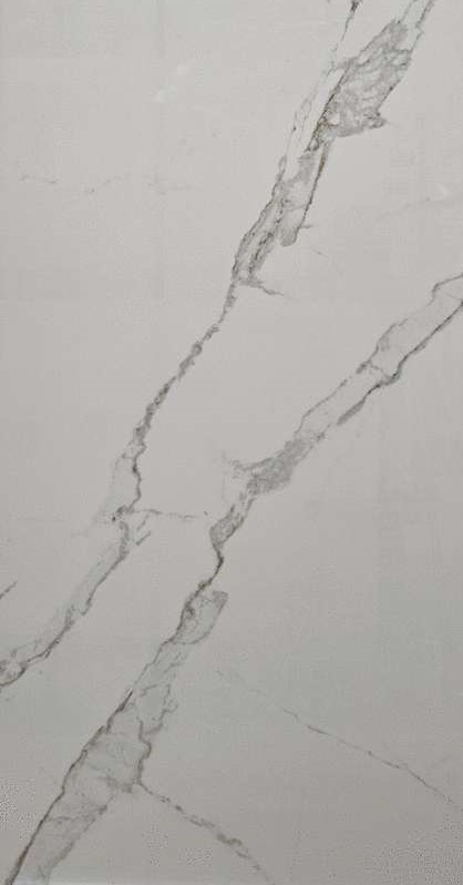 Satori Statuario 60x120 Modern Tile