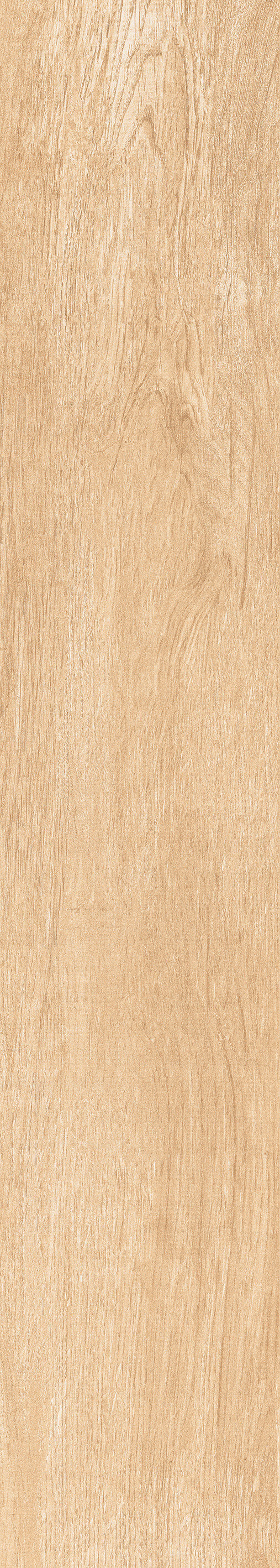 1056 Torino Honey Mate 120x20 Artcer