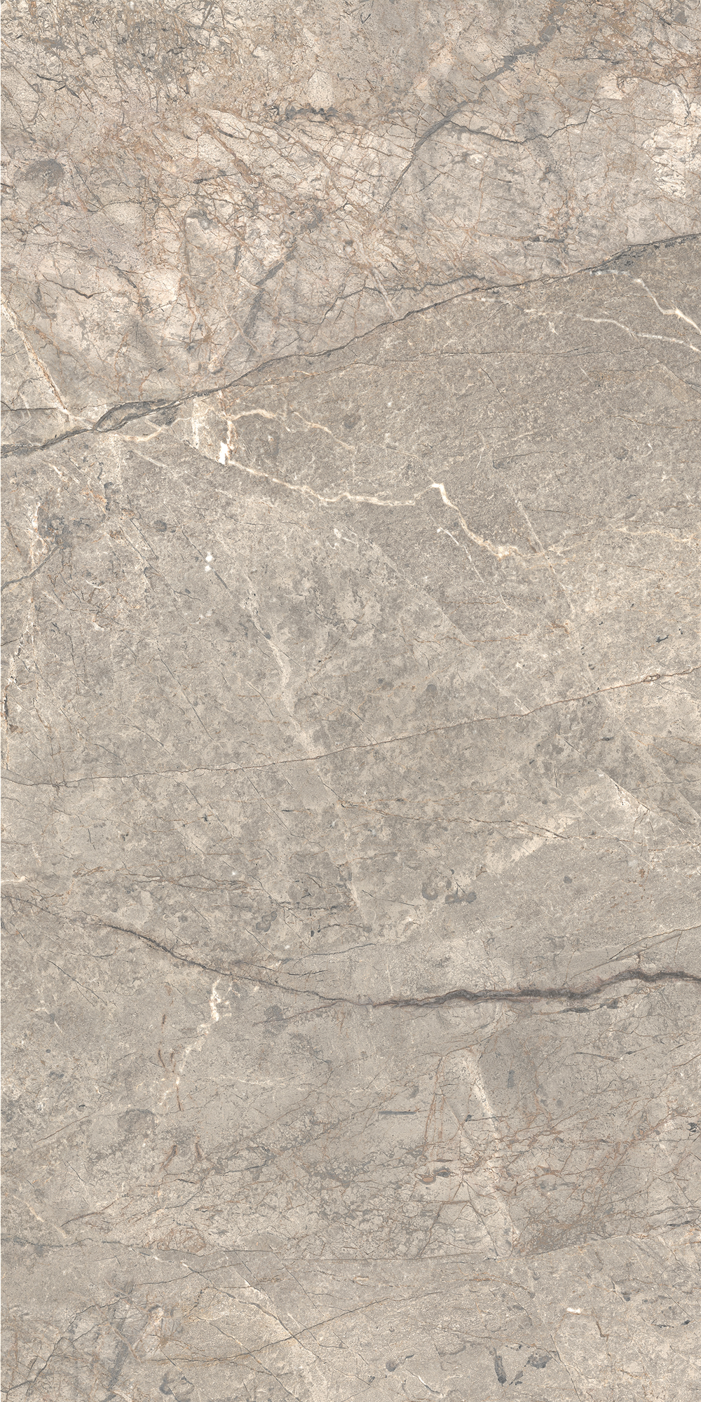 AGB6 Amazing Silver Luc 60x120 Caesar