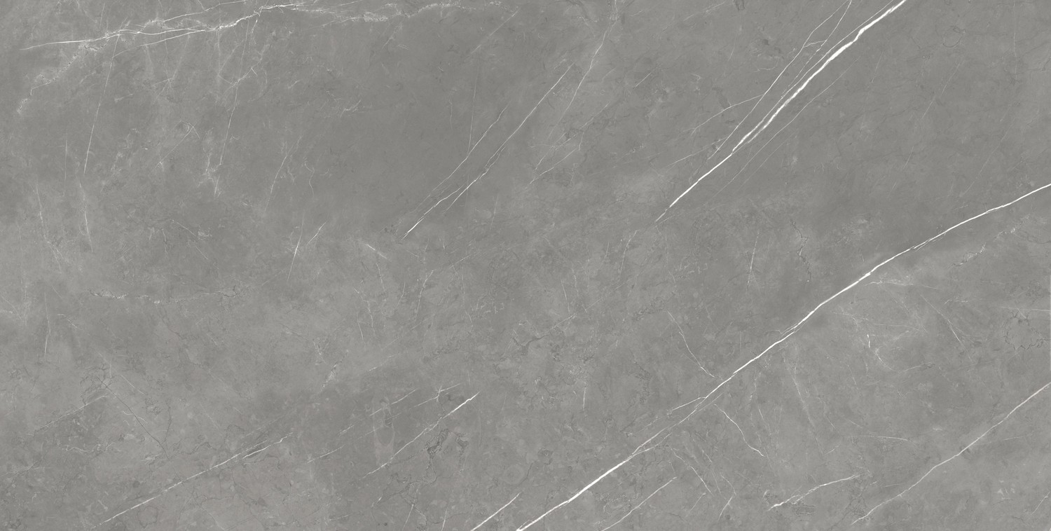 610015000665 Forte dei Marmi Elegant Grey Lapp 80x160 Atlas Concorde Russia