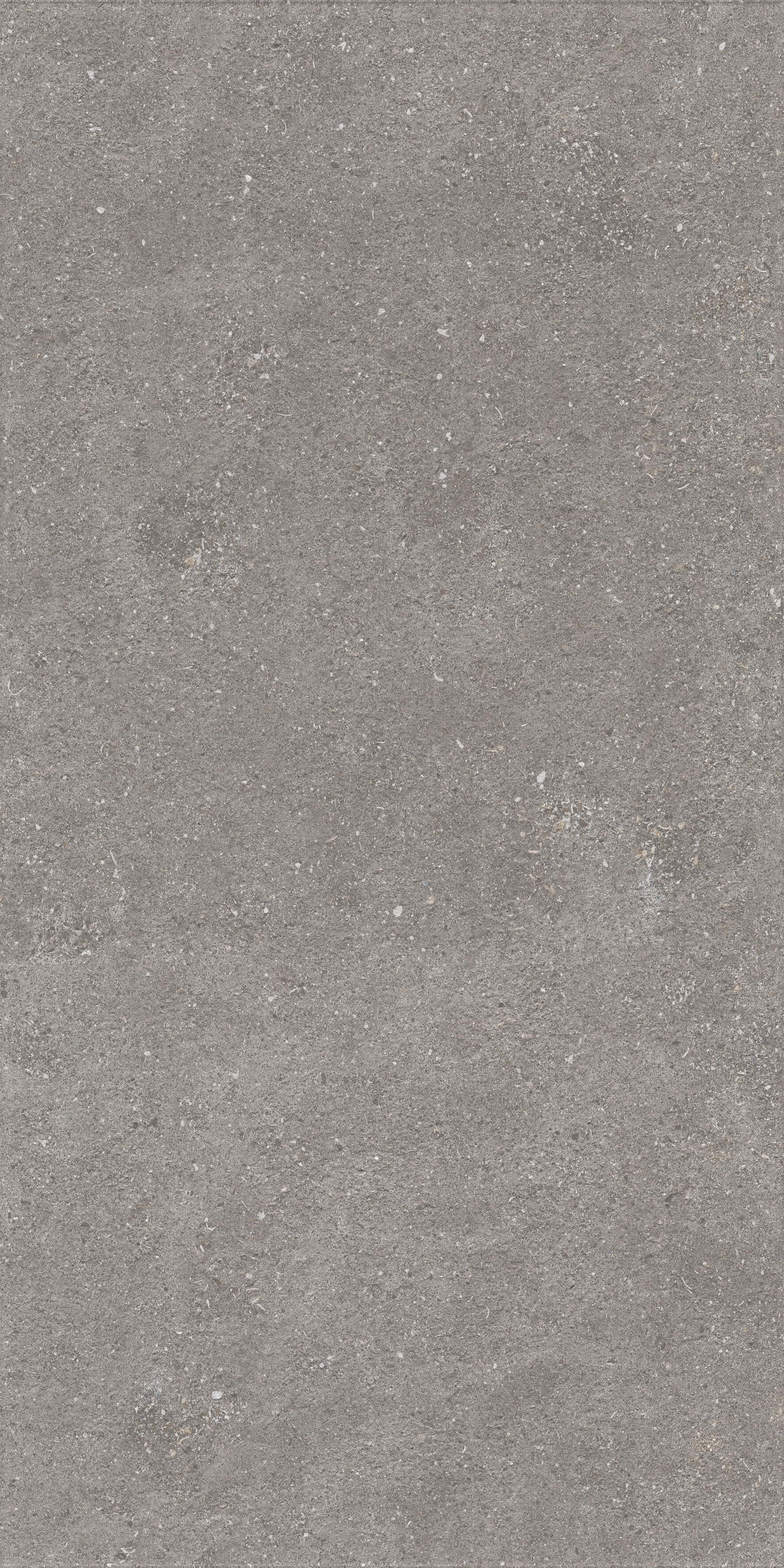 1224 Graniti Grey Matt Ghr 120x60 Artcer фото 8
