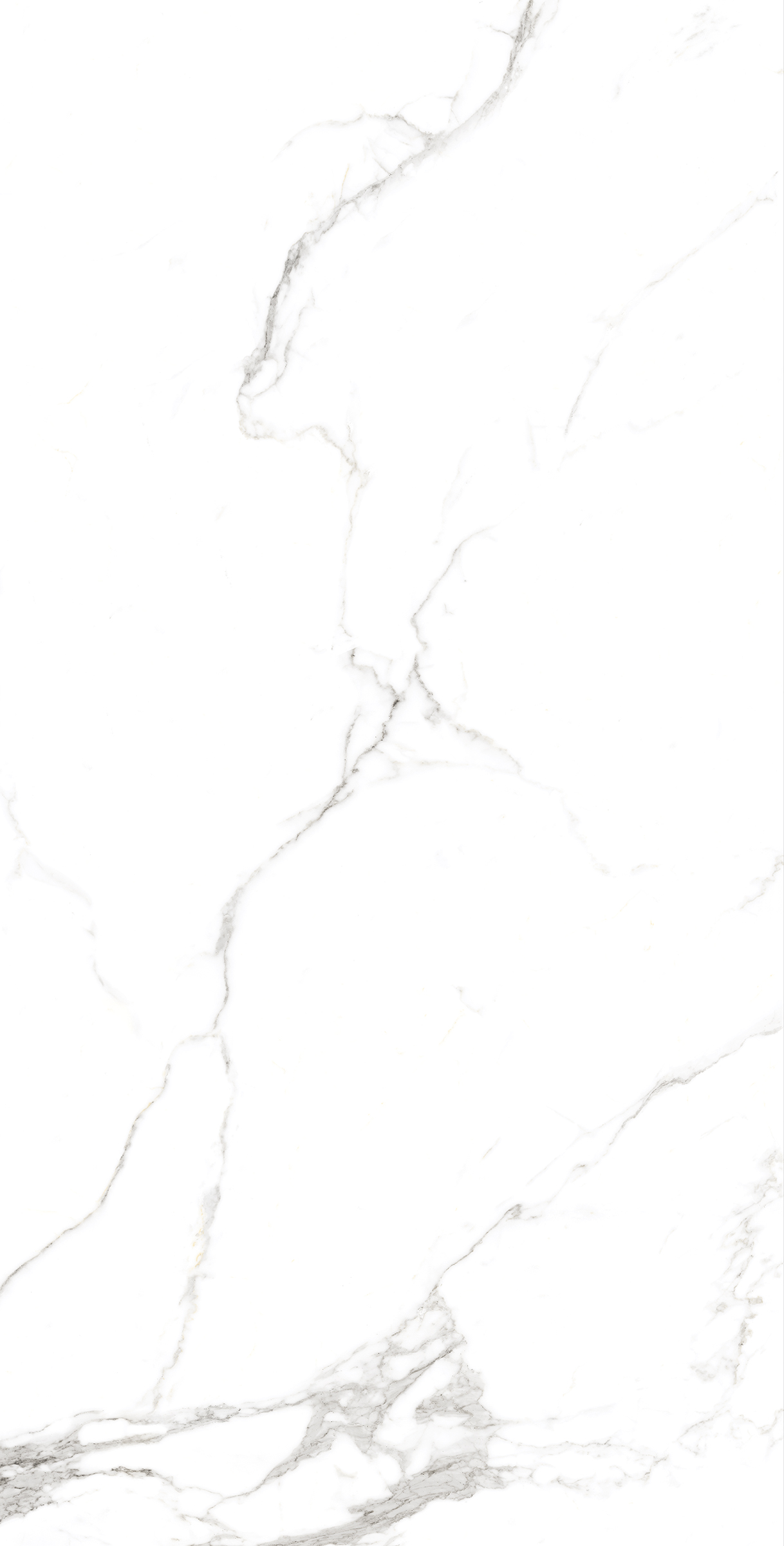 FP1039-A Statuario Fine Full Polished 60x120 Arcadia Ceramica