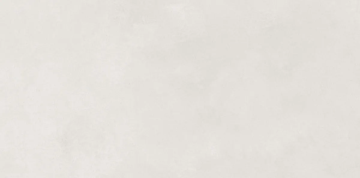 N110010 Aston Grey Matt 60x120 Neodom фото 2